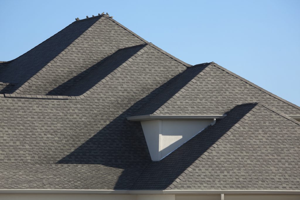 Architectural Asphalt Shingle Rooftop With Morning Dove Birds